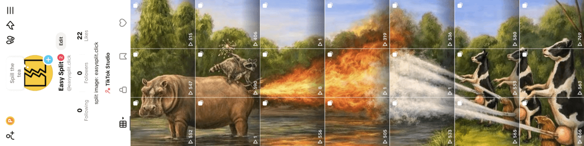 Easy Split screenshot