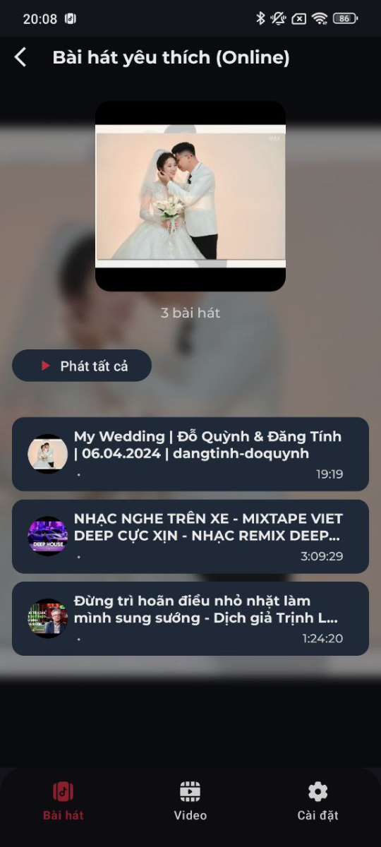 YouPiP Music screenshot