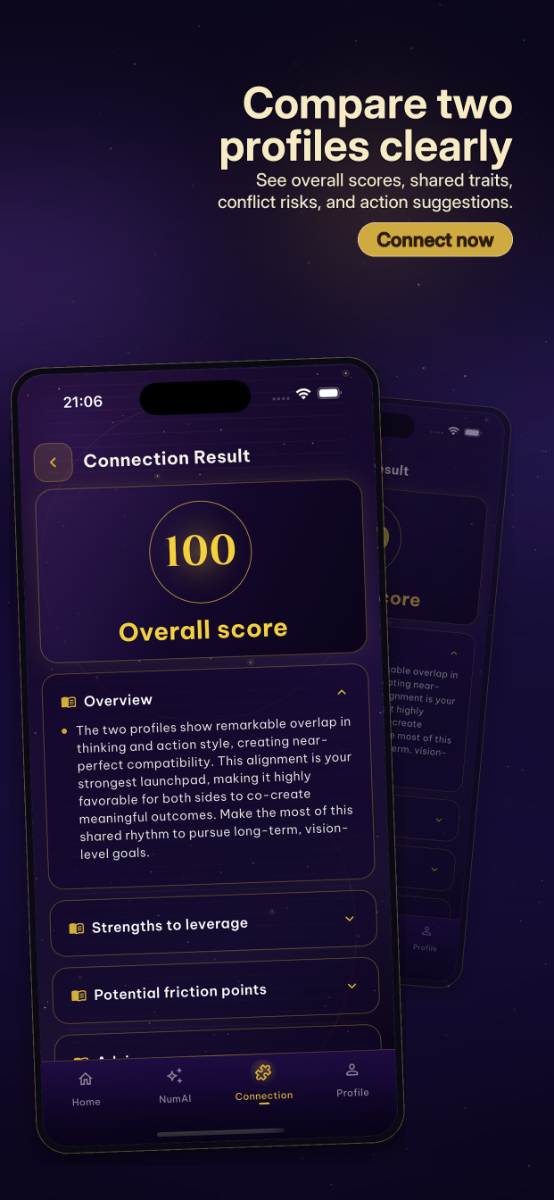 NumVerse AI screenshot