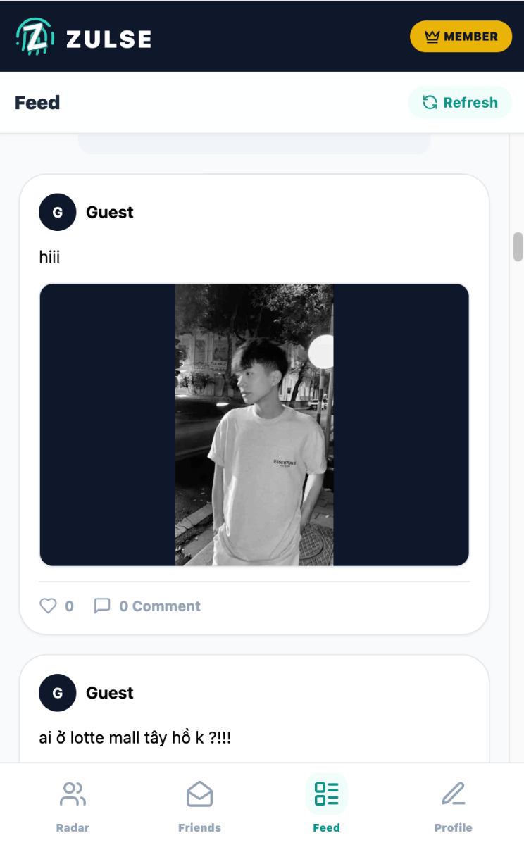 Zulse screenshot