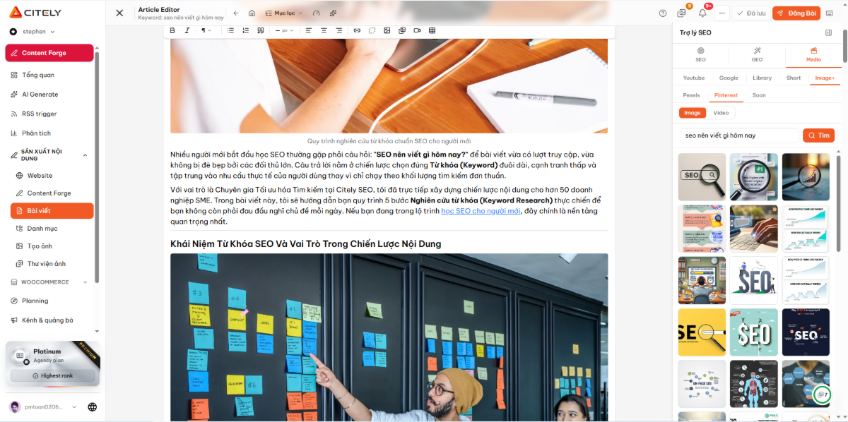Citely SEO screenshot