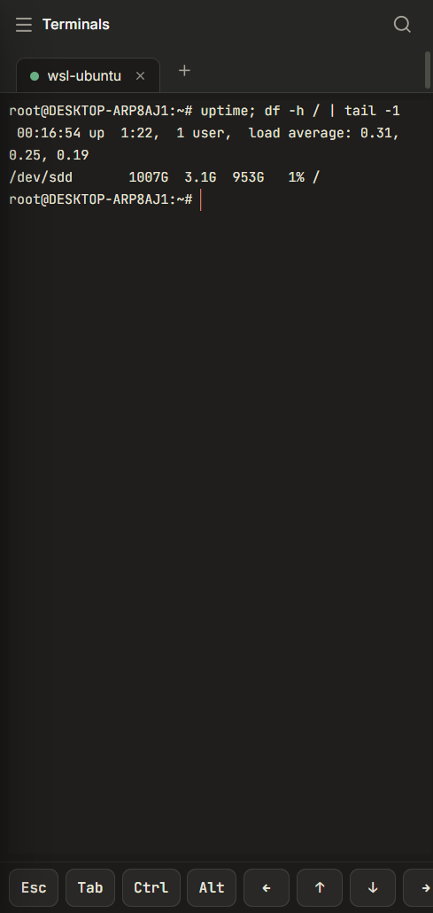 termward screenshot