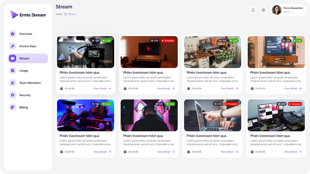 Ermis Video Streaming Infra screenshot