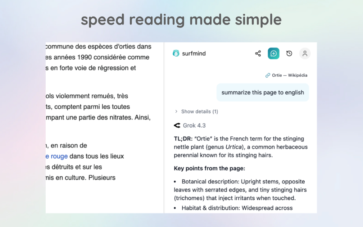 SurfMind screenshot