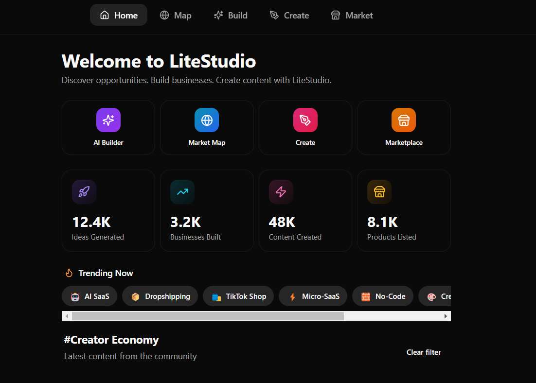 LiteStudio AI screenshot