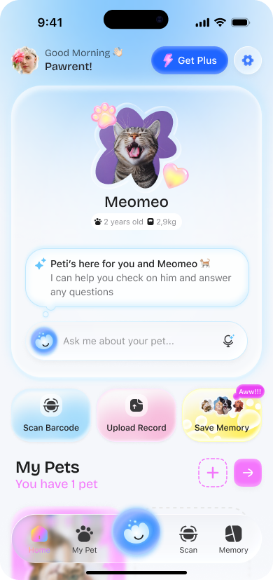Petio screenshot