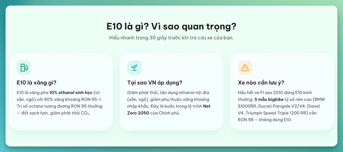 XăngE10.Vn screenshot 4