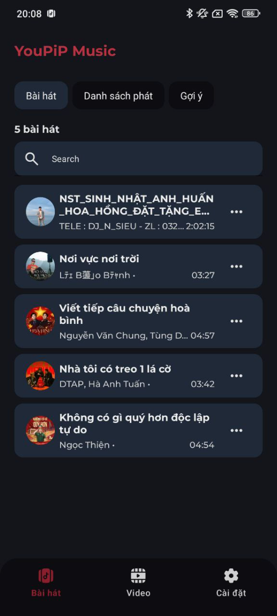 YouPiP Music screenshot