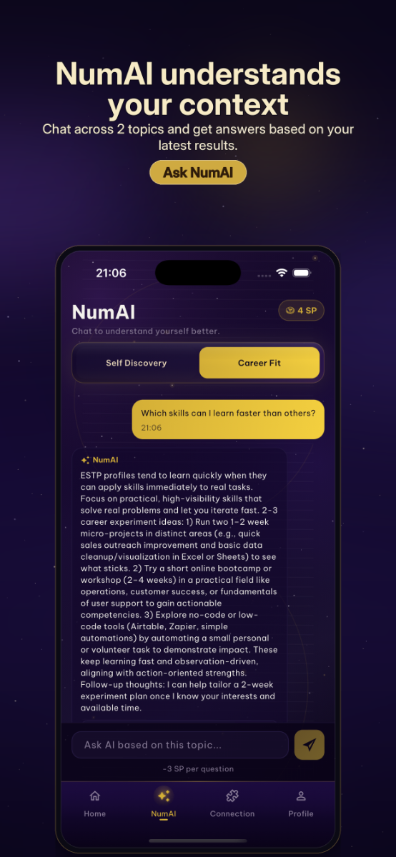 NumVerse AI screenshot