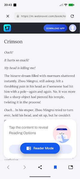 Reader Browser screenshot