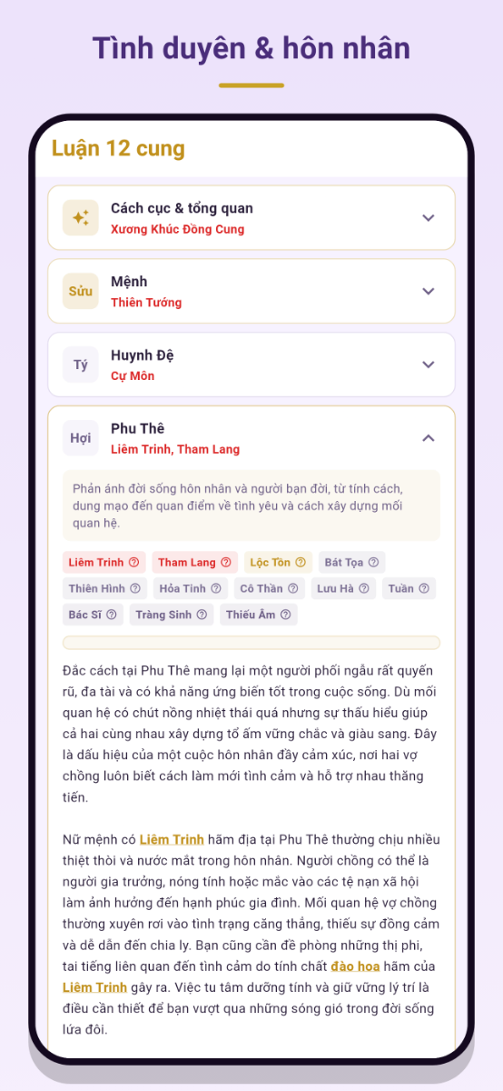 Tử Vi Studio screenshot