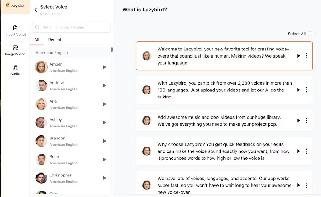 Lazybird Voice Studio screenshot