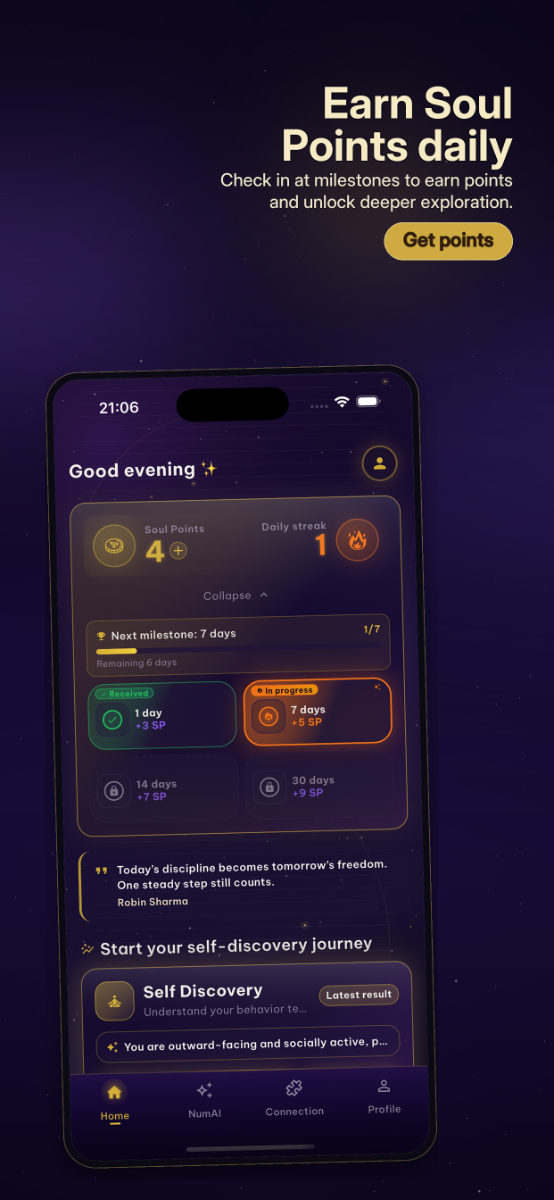 NumVerse AI screenshot