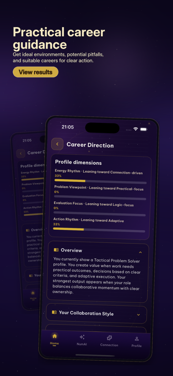 NumVerse AI screenshot