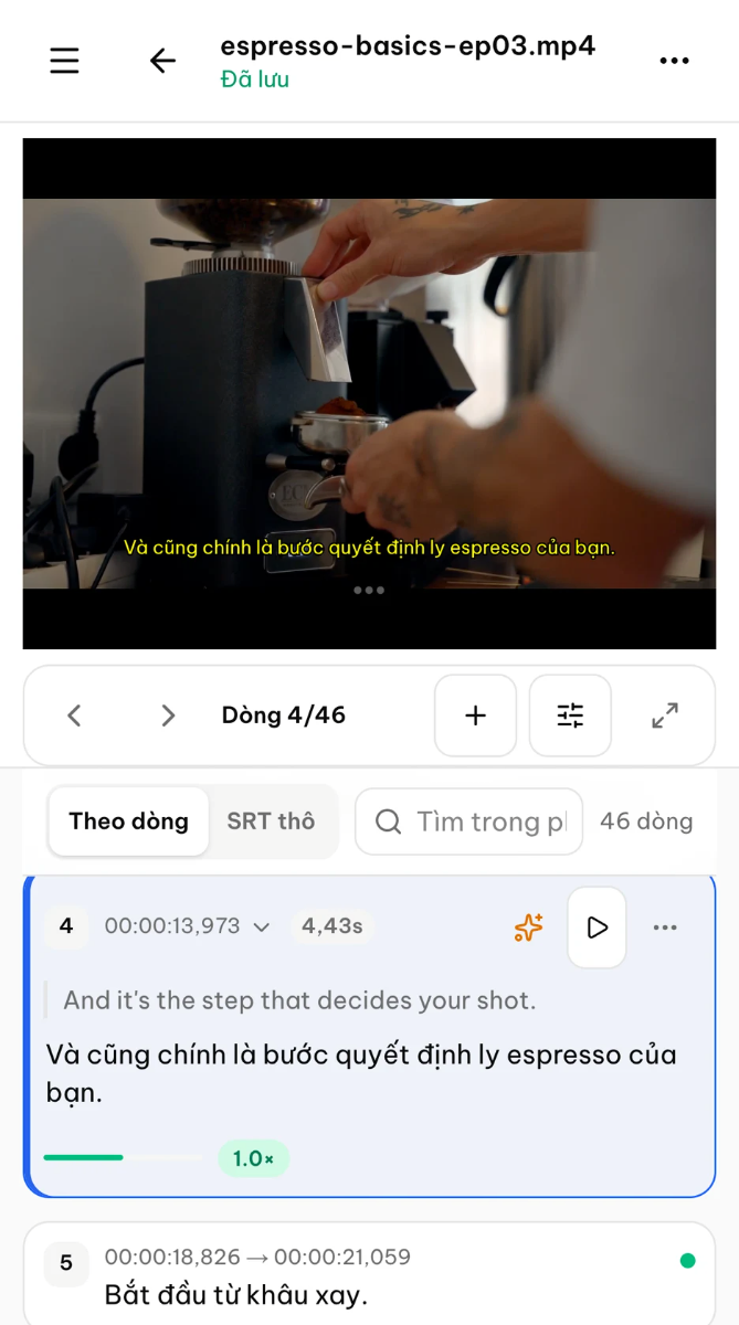 SubsVid screenshot