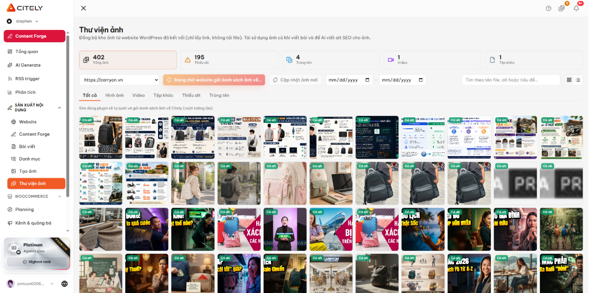 Citely SEO screenshot