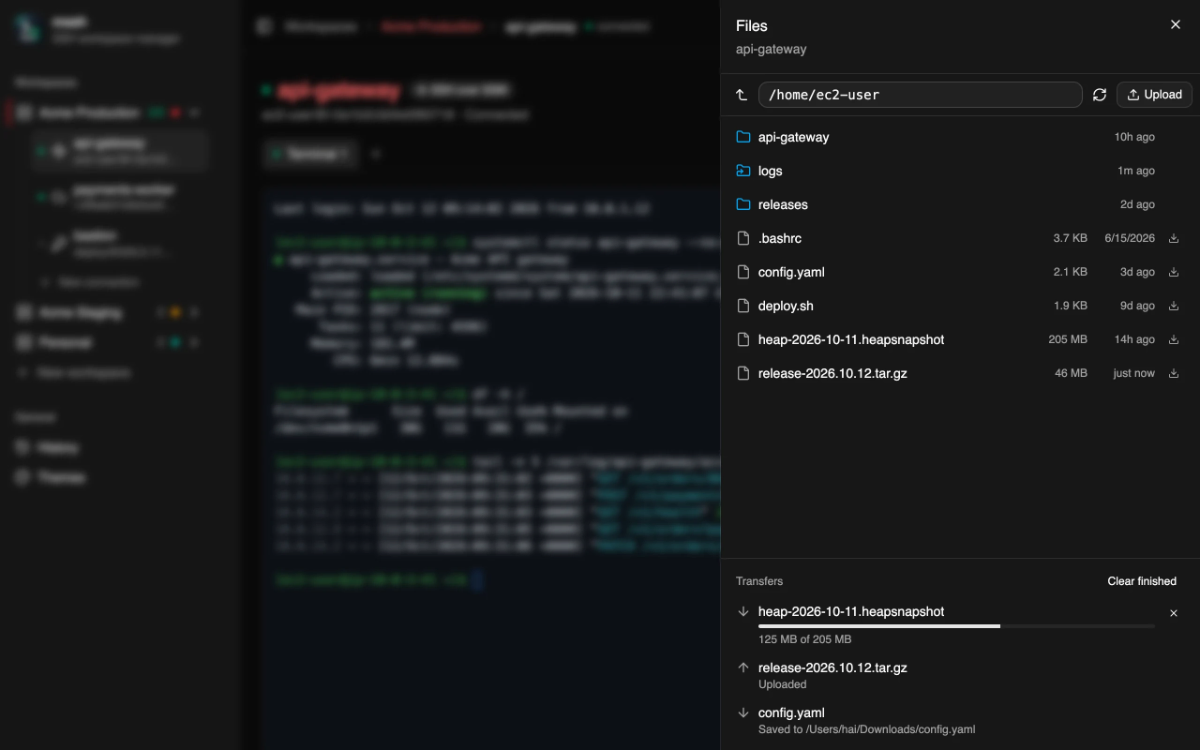 mssh screenshot