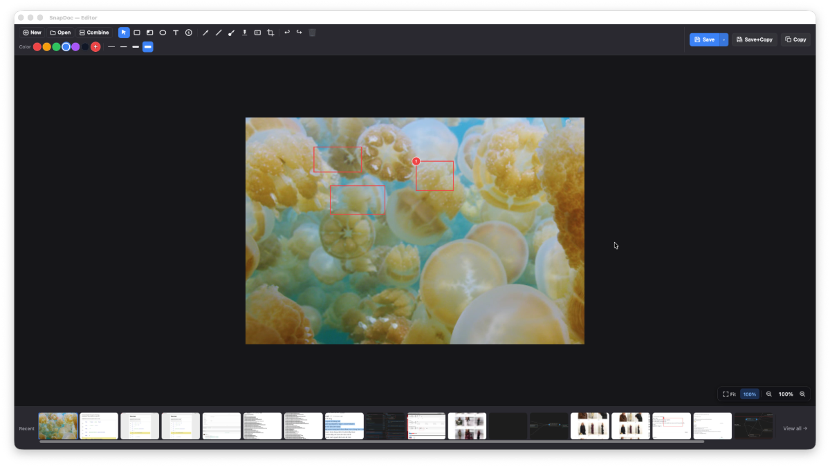 Snapdoc screenshot